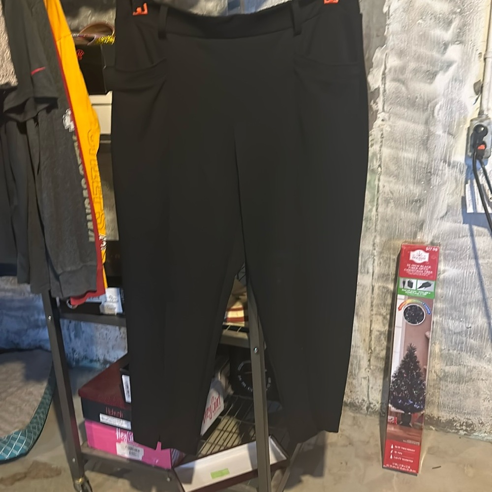 Maurices dress pant.